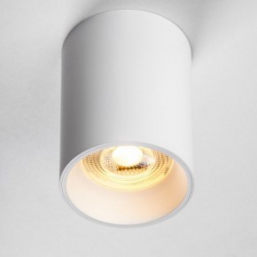 Накладной светильник Lightstar Rullo 213436 в Тарко-Сале - tarko-sale.ok-mebel.com | фото 2