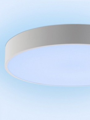 Накладной светильник Natali Kovaltseva MODERN LED LAMPS 81105/1C в Тарко-Сале - tarko-sale.ok-mebel.com | фото 11