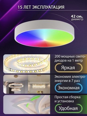Накладной светильник Natali Kovaltseva MODERN LED LAMPS 81105/1C в Тарко-Сале - tarko-sale.ok-mebel.com | фото 6