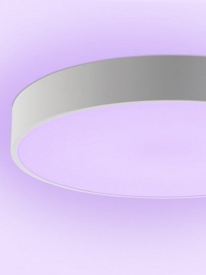 Накладной светильник Natali Kovaltseva MODERN LED LAMPS 81105/1C в Тарко-Сале - tarko-sale.ok-mebel.com | фото 9