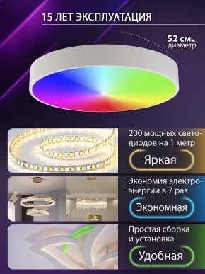 Накладной светильник Natali Kovaltseva MODERN LED LAMPS 81105/2C в Тарко-Сале - tarko-sale.ok-mebel.com | фото 6