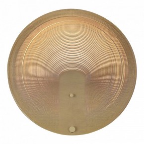 Накладной светильник ST-Luce Fossil SL6900.501.16 в Тарко-Сале - tarko-sale.ok-mebel.com | фото 2