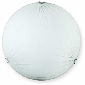 Накладной светильник TopLight Wifa TL9142Y-00WH в Тарко-Сале - tarko-sale.ok-mebel.com | фото