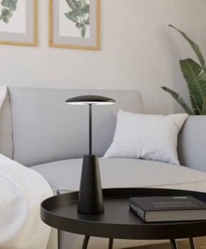 Настольная лампа декоративная Eglo PICCOLA 900925 в Тарко-Сале - tarko-sale.ok-mebel.com | фото 4