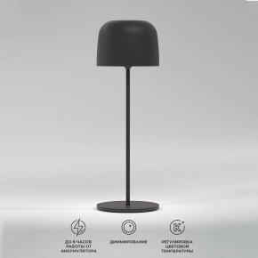 Настольная лампа декоративная Elektrostandard Bitty a069002 в Тарко-Сале - tarko-sale.ok-mebel.com | фото 2