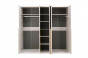 НИКОЛЬ 25 Шкаф 5-ти створчатый в Тарко-Сале - tarko-sale.ok-mebel.com | фото 3