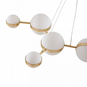 Подвесная люстра Favourite Asterismo 4448-8P в Тарко-Сале - tarko-sale.ok-mebel.com | фото 7