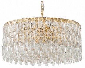 Подвесная люстра Favourite Robby 4722-12P в Тарко-Сале - tarko-sale.ok-mebel.com | фото