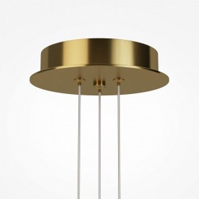 Подвесная люстра Maytoni Arana MOD401PL-L108BS3K в Тарко-Сале - tarko-sale.ok-mebel.com | фото 7