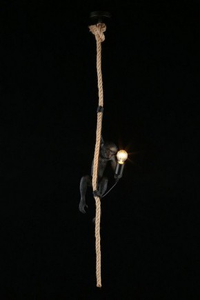 Подвесной светильник Aployt Magali APL.309.16.01 в Тарко-Сале - tarko-sale.ok-mebel.com | фото 3