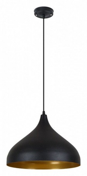 Подвесной светильник Arte Lamp Carmel A7076SP-1BK в Тарко-Сале - tarko-sale.ok-mebel.com | фото 2