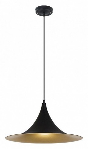 Подвесной светильник Arte Lamp Carmel A7080SP-1BK в Тарко-Сале - tarko-sale.ok-mebel.com | фото 2