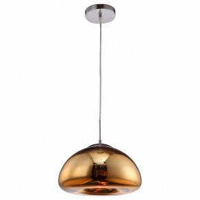 Подвесной светильник Arte Lamp Swift A8041SP-1GO в Тарко-Сале - tarko-sale.ok-mebel.com | фото 2