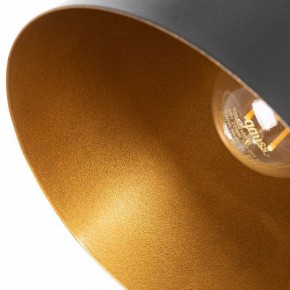 Подвесной светильник Arte Lamp Thomas A7032SP-1BK в Тарко-Сале - tarko-sale.ok-mebel.com | фото 5