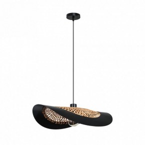 Подвесной светильник Arte Lamp Woodstock A7059SP-1BK в Тарко-Сале - tarko-sale.ok-mebel.com | фото 2
