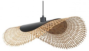 Подвесной светильник Arte Lamp Woodstock A7063SP-1BK в Тарко-Сале - tarko-sale.ok-mebel.com | фото