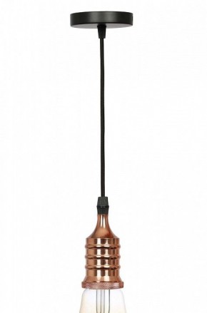 Подвесной светильник Эра PL13 Б0048525 в Тарко-Сале - tarko-sale.ok-mebel.com | фото 3
