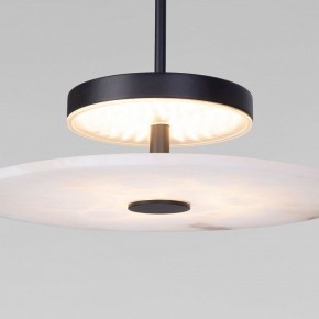 Подвесной светильник Eurosvet Thasos 40342 LED черный в Тарко-Сале - tarko-sale.ok-mebel.com | фото 7