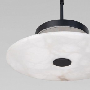 Подвесной светильник Eurosvet Thasos 40342 LED черный в Тарко-Сале - tarko-sale.ok-mebel.com | фото 8