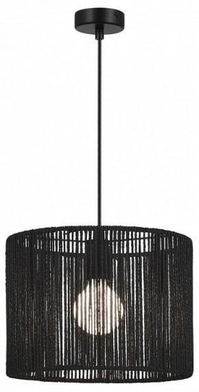 Подвесной светильник EVOLUCE ETTAN SLE6024-403-01 в Тарко-Сале - tarko-sale.ok-mebel.com | фото 2
