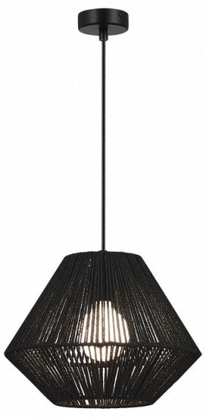 Подвесной светильник EVOLUCE ETTAN SLE6025-403-01 в Тарко-Сале - tarko-sale.ok-mebel.com | фото 2