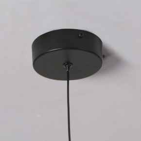 Подвесной светильник Favourite Wilet 4656-1P в Тарко-Сале - tarko-sale.ok-mebel.com | фото 10