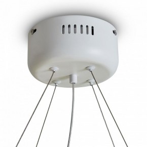 Подвесной светильник Freya Rain FR5546PL-L60W в Тарко-Сале - tarko-sale.ok-mebel.com | фото 9