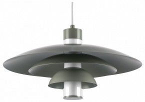 Подвесной светильник Lightstar Erbareo 799019 в Тарко-Сале - tarko-sale.ok-mebel.com | фото