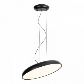 Подвесной светильник Lussole Crook LSP-7360 в Тарко-Сале - tarko-sale.ok-mebel.com | фото 2