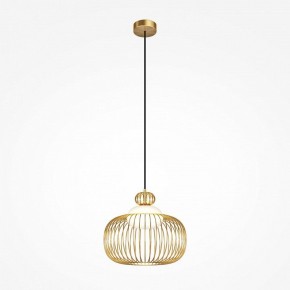 Подвесной светильник Maytoni Levitation MOD376PL-01G в Тарко-Сале - tarko-sale.ok-mebel.com | фото 2