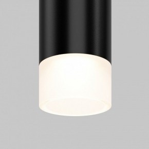 Подвесной светильник Maytoni Skim TR191-1-3W4K-M-B в Тарко-Сале - tarko-sale.ok-mebel.com | фото 2