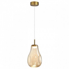 Подвесной светильник Odeon Light Nave 5098/4L в Тарко-Сале - tarko-sale.ok-mebel.com | фото 2
