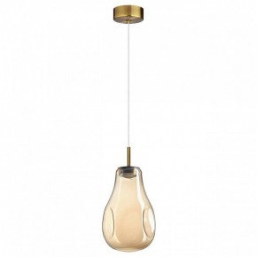 Подвесной светильник Odeon Light Nave 5098/4L в Тарко-Сале - tarko-sale.ok-mebel.com | фото 4