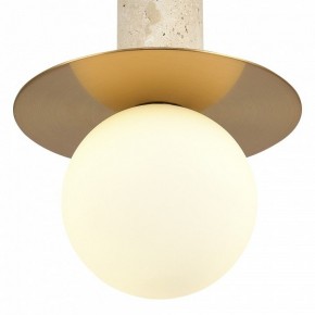Подвесной светильник ST-Luce Earthy SL1194.303.01 в Тарко-Сале - tarko-sale.ok-mebel.com | фото 5