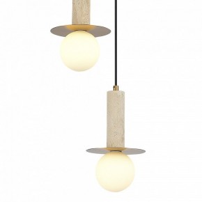 Подвесной светильник ST-Luce Earthy SL1194.303.03 в Тарко-Сале - tarko-sale.ok-mebel.com | фото 4