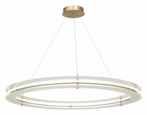 Подвесной светильник ST-Luce FAGY SL6245.213.01 в Тарко-Сале - tarko-sale.ok-mebel.com | фото 4