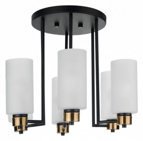 Потолочная люстра 33 идеи CHN900 CHN900.06.BL17.ASB-S16WH в Тарко-Сале - tarko-sale.ok-mebel.com | фото 3