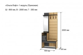 Прихожая "Ольга-Лофт 1" в Тарко-Сале - tarko-sale.ok-mebel.com | фото 4