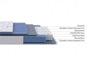 PROxSON Матрас Active M Roll (Ткань Трикотаж Эко) 160x200 в Тарко-Сале - tarko-sale.ok-mebel.com | фото 2