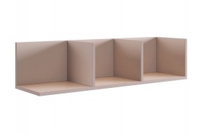 РИЧ Полка навесная 2 (кашемир) в Тарко-Сале - tarko-sale.ok-mebel.com | фото