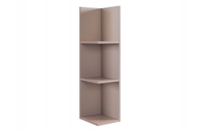 РИЧ Полка навесная 2 (кашемир) в Тарко-Сале - tarko-sale.ok-mebel.com | фото 4