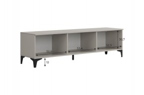 РИЧ Тумба 2 в Тарко-Сале - tarko-sale.ok-mebel.com | фото 3