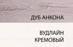 Шкаф 2DG, OLIVIA, цвет вудлайн крем/дуб анкона в Тарко-Сале - tarko-sale.ok-mebel.com | фото 3