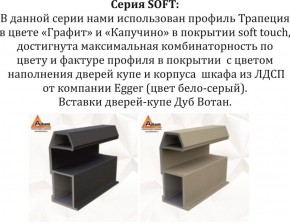 Шкаф-купе 1800 серии SOFT D1+D3+B2+PL1 (2 ящика+1штанга) профиль «Графит» в Тарко-Сале - tarko-sale.ok-mebel.com | фото 11