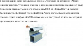 Шкаф-купе 2250 серии SILVER S3+S1+S3Z B22+PL2 (по 2 ящика лев/прав+1штанга+1 полка) профиль «Серебро» в Тарко-Сале - tarko-sale.ok-mebel.com | фото 4