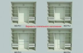 Шкаф-купе 2450 серии NEW CLASSIC K6Z+K1+K6+B22+PL2 (по 2 ящика лев/прав+1 штанга+1 полка) профиль «Капучино» в Тарко-Сале - tarko-sale.ok-mebel.com | фото 6