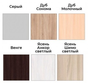 Шкаф-купе ХИТ 22-18-888 (620) в Тарко-Сале - tarko-sale.ok-mebel.com | фото 3