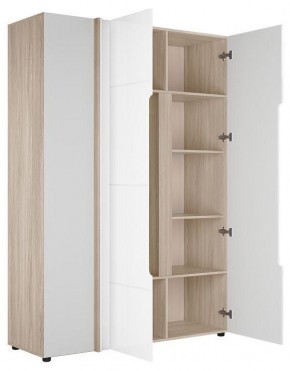 Шкаф платяной Данк в Тарко-Сале - tarko-sale.ok-mebel.com | фото 2