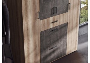 Шкаф платяной Паркинс в Тарко-Сале - tarko-sale.ok-mebel.com | фото 3