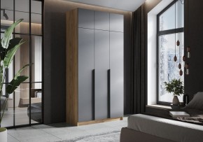 Шкаф платяной Широн в Тарко-Сале - tarko-sale.ok-mebel.com | фото 4